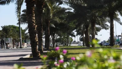 المدينة المنورة