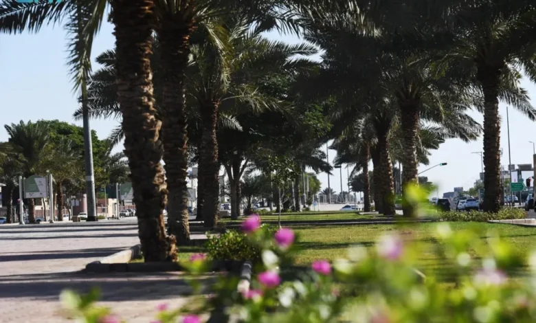 المدينة المنورة