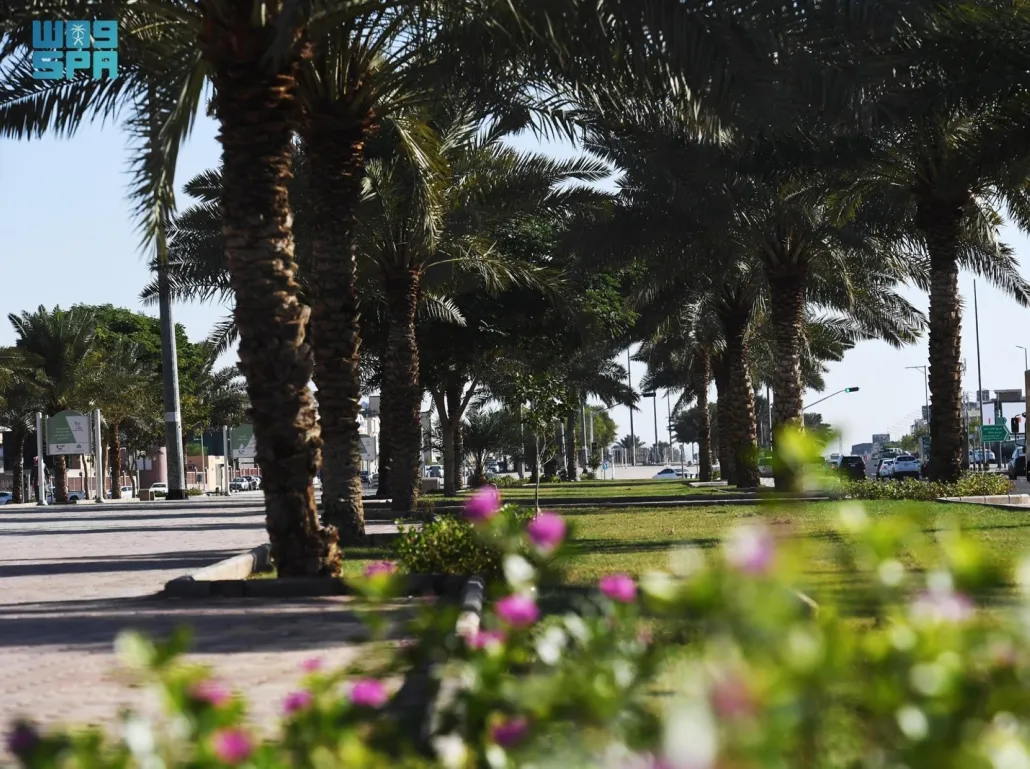 المدينة المنورة