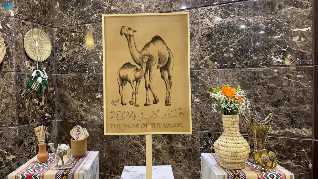 معرض الإبل