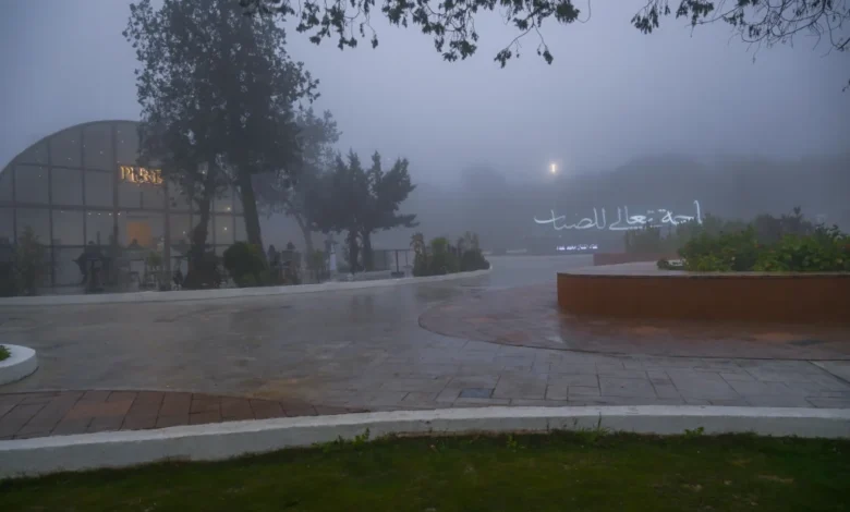 الضباب في الباحة