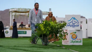 حمضيات حائل