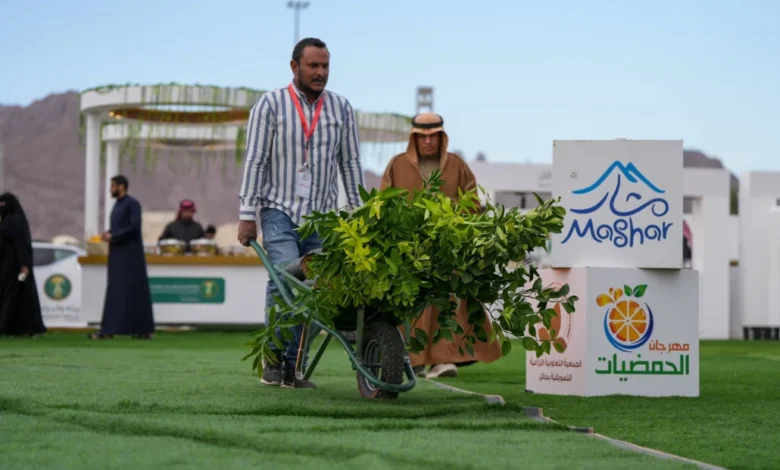 حمضيات حائل