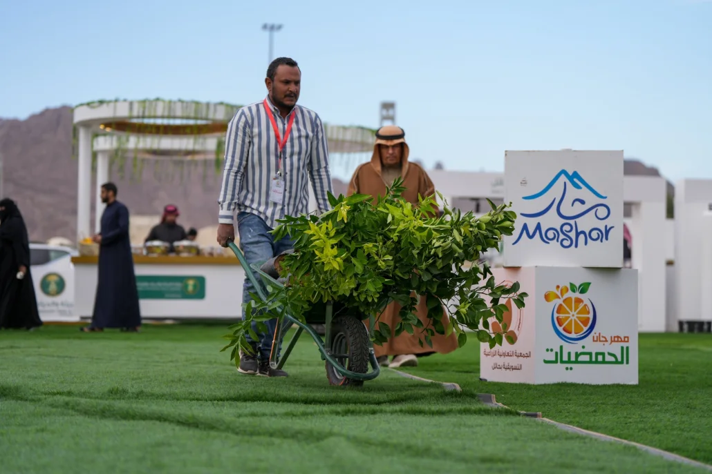 حمضيات حائل