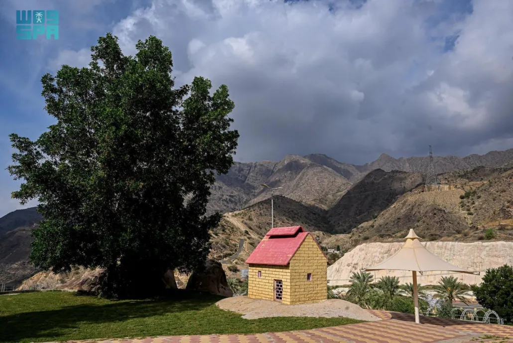 متنزه الفرشة في الباحة