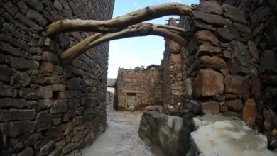 قرية آل ينفع