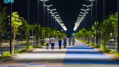 أنسنة رفحاء