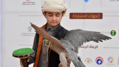 مهرجان الصقور بالقصيم