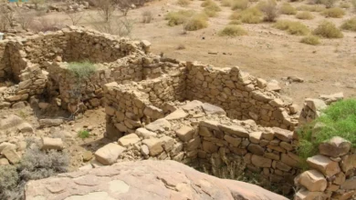 حصن بديوي الوقداني