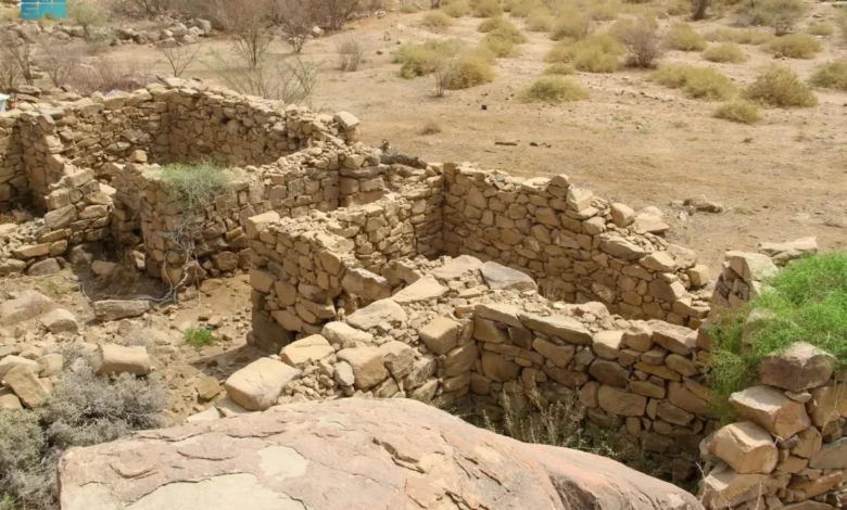 حصن بديوي الوقداني