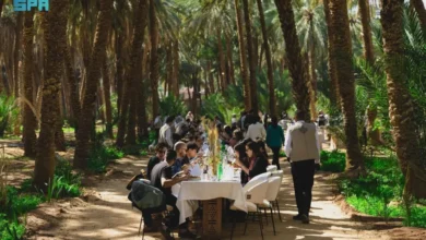 فنون العُلا