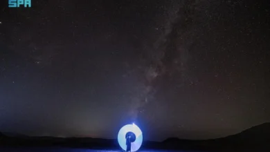 صحراء الوجه