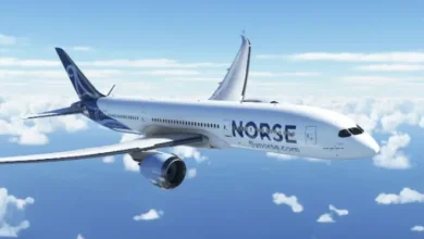 نورس أتلانتيك