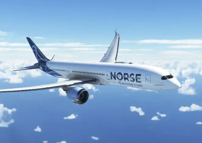 نورس أتلانتيك