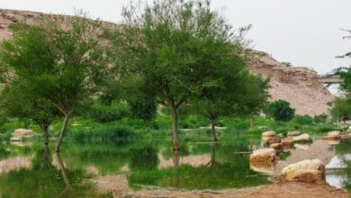 وادي حنيفة بالرياض