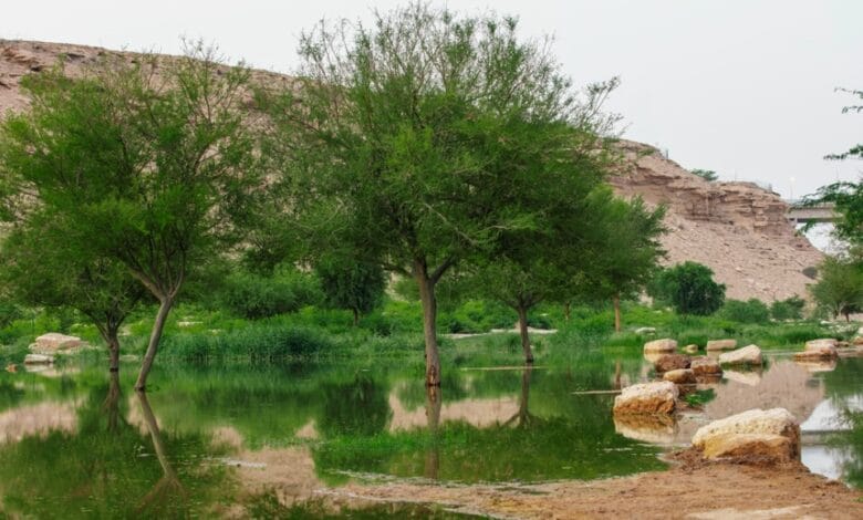 وادي حنيفة بالرياض
