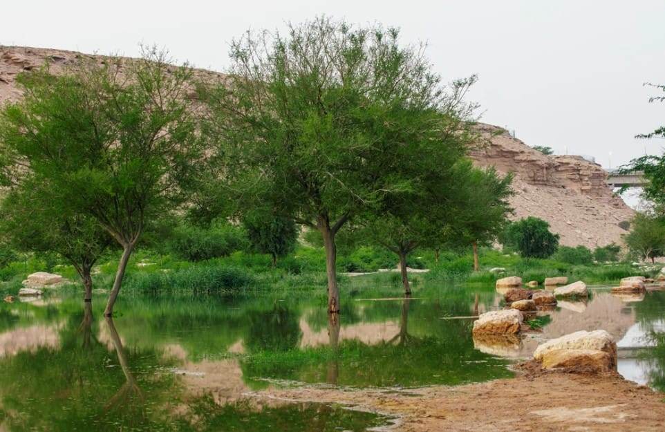 وادي حنيفة بالرياض