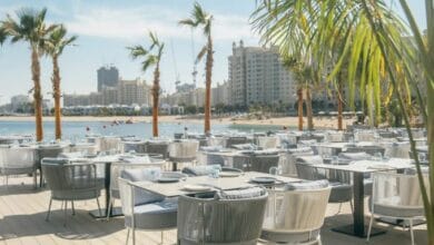 مطعم ببابل النخلة للأكل اللبناني