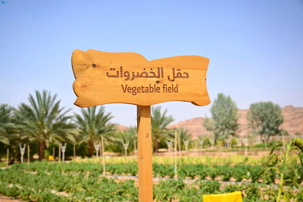 خيرات العلا