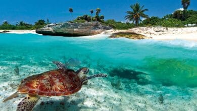 جزر الكاريبي