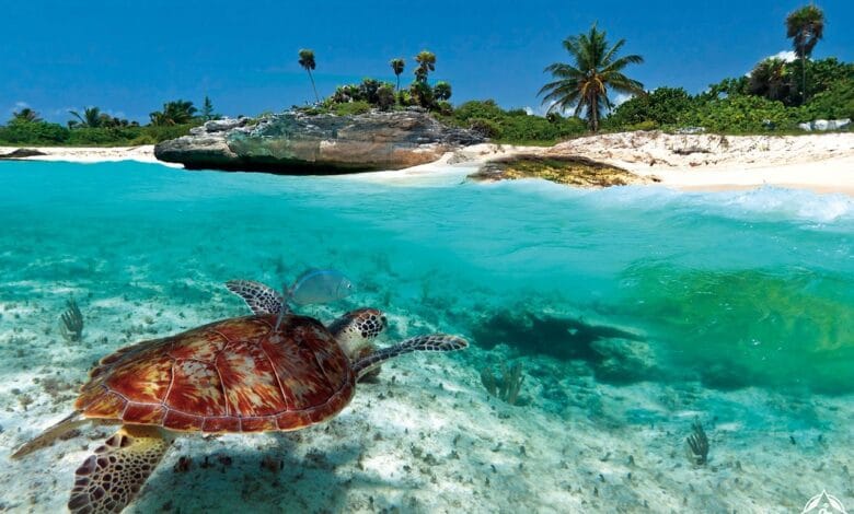 جزر الكاريبي