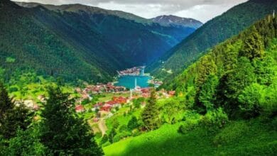 ريزة التركية