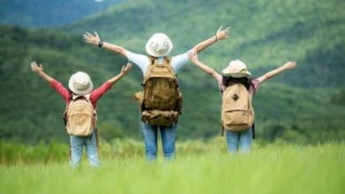 السياحة المستدامة والضيافة والترفيه