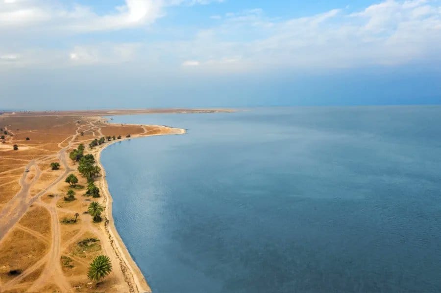 الأحساء
