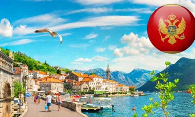 مونتينيغرو
