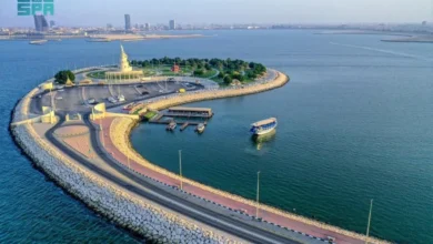 جزيرة المرجان