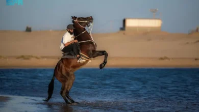 شاطئ "هبّان"