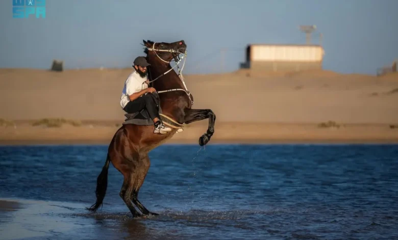 شاطئ "هبّان"