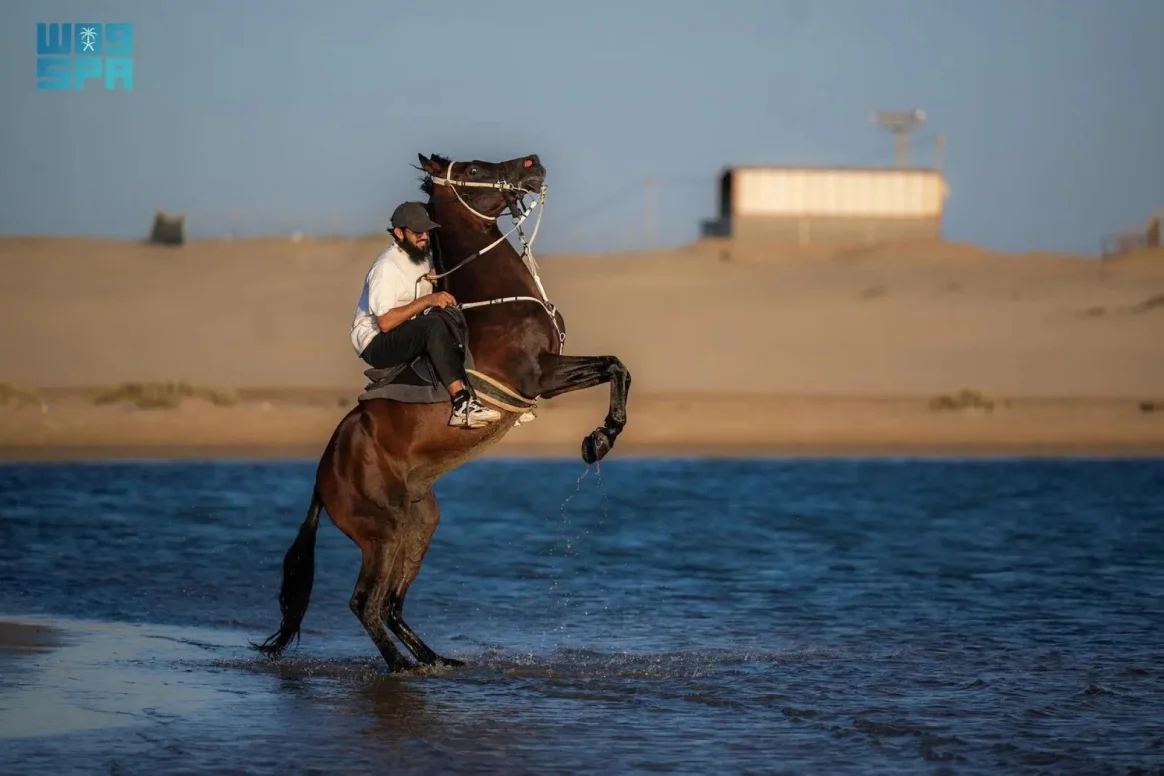 شاطئ "هبّان"