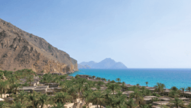 سيكس سينسيز زيغي باي