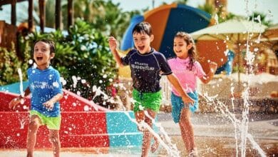 الاحتفالات العائلية