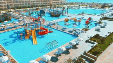 بيك الباتروس