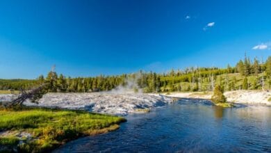 حديقة يلوستون الوطنية بأمريكا