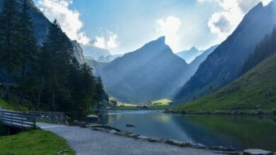 أبنزل السويسرية