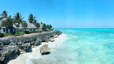 زنجبار الاستوائية