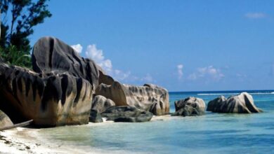 شاطئ أنس سورس دارجان