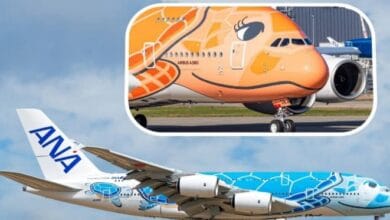 أول نيبون إيرويز