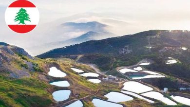 فالوغا اللبنانية