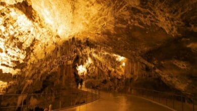 كهوف سلوفينيا