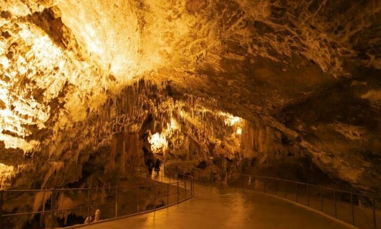 كهوف سلوفينيا