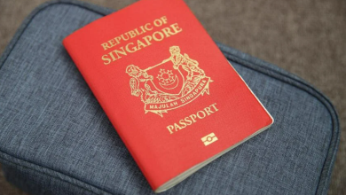 جواز السفر السنغافوري