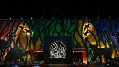 غابة العجائب