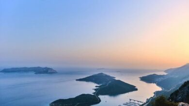 كاش التركية