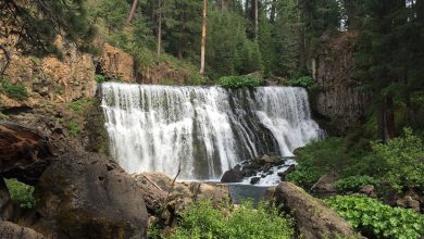 شلالات شاكلفورد