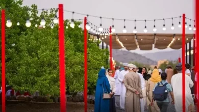 ولاية الجبل الأخضر