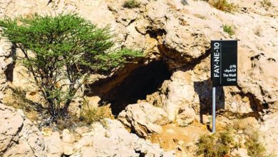 الفاية الإماراتي